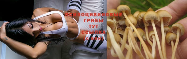 apvp Мегион