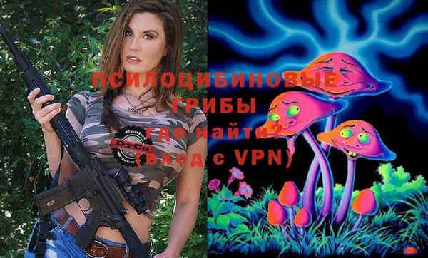 apvp Мегион