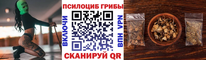 Псилоцибиновые грибы Cubensis  Купить где  Приморск 